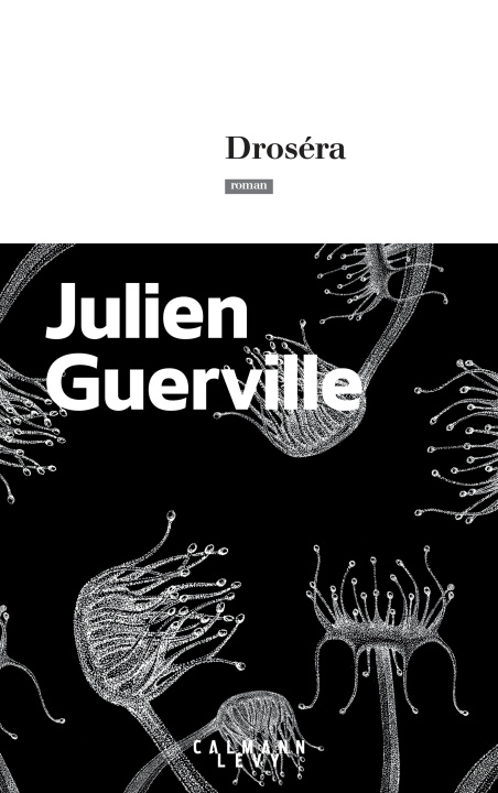 Knjiga Droséra Julien Guerville