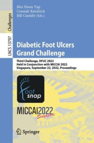 Kniha Diabetic Foot Ulcers Grand Challenge Moi Hoon Yap