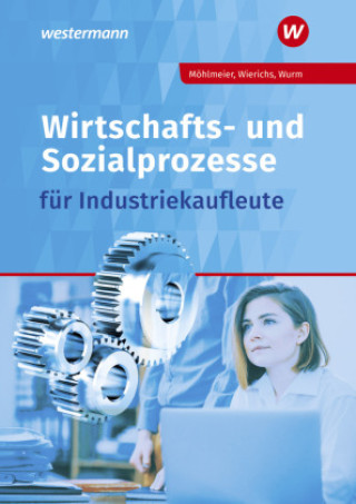 Kniha Wirtschafts- und Sozialprozesse für Industriekaufleute Dorothea Scherer
