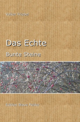 Book Das Echte Volker Friebel