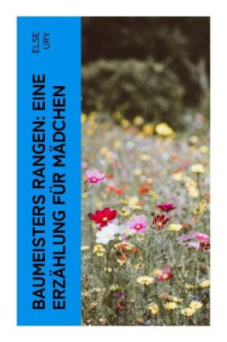 Knjiga Baumeisters Rangen: Eine Erzählung für Mädchen Else Ury