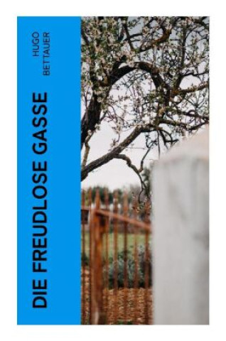 Książka Die freudlose Gasse Hugo Bettauer