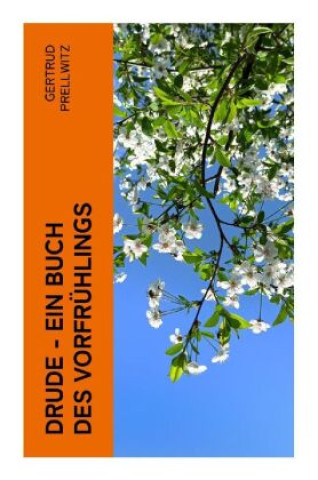 Knjiga Drude - Ein Buch des Vorfrühlings Gertrud Prellwitz