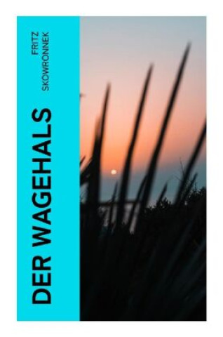 Buch Der Wagehals Fritz Skowronnek