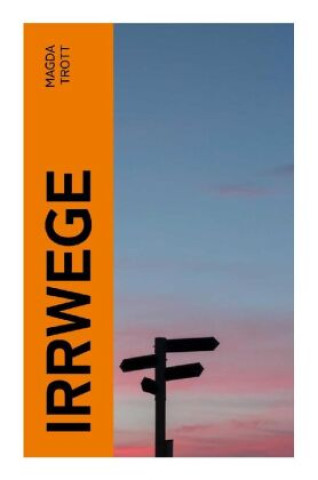 Knjiga Irrwege Magda Trott