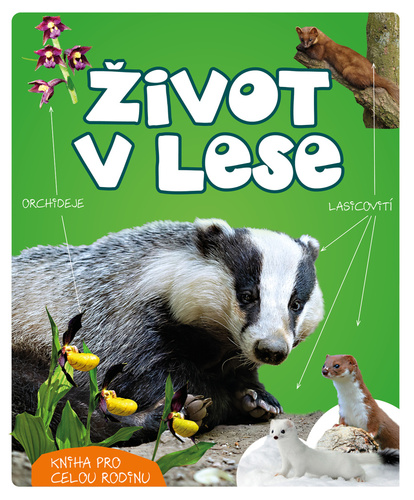Boek Život v lese Wojciech Gil