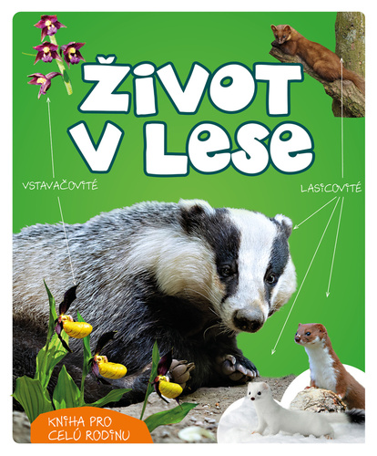 Book Život v lese Wojciech Gil