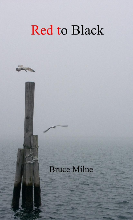 Buch Red to Black Bruce Milne