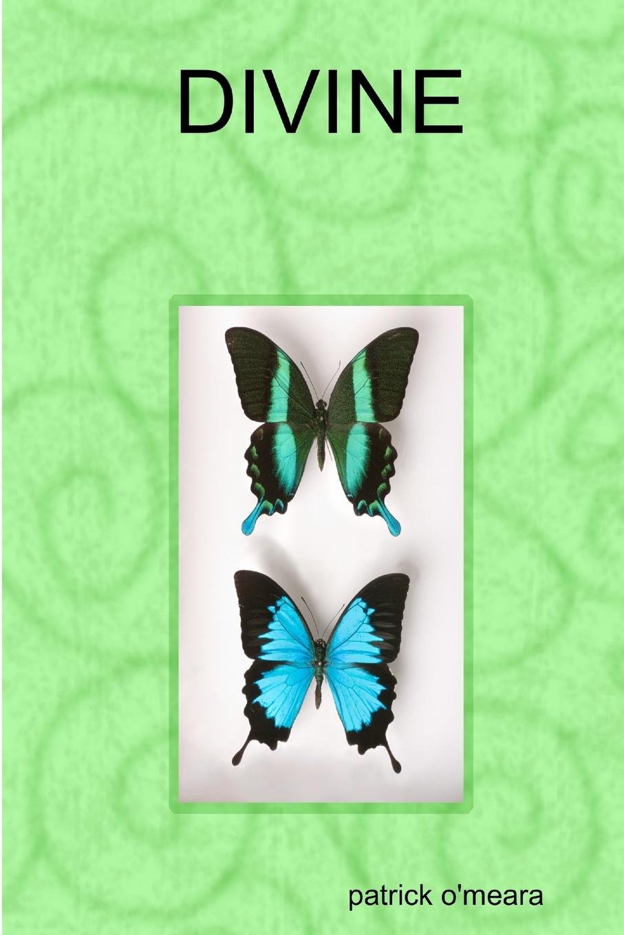 Boek DIVINE patrick o'meara