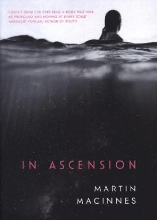 Книга In Ascension Martin MacInnes