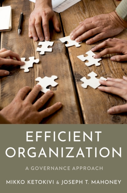 E-knjiga Efficient Organization Mikko Ketokivi