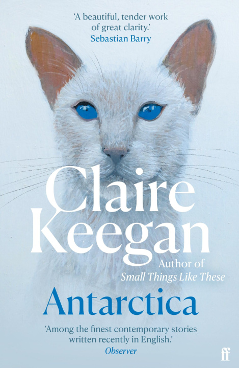 Knjiga Antarctica Claire Keegan