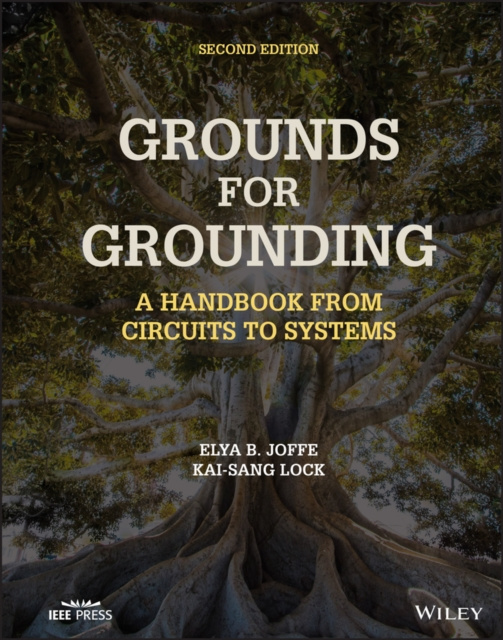 E-knjiga Grounds for Grounding Elya B. Joffe