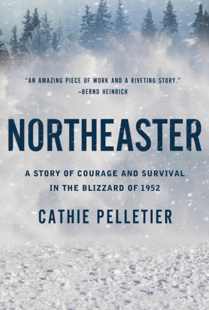E-knjiga Northeaster Cathie Pelletier