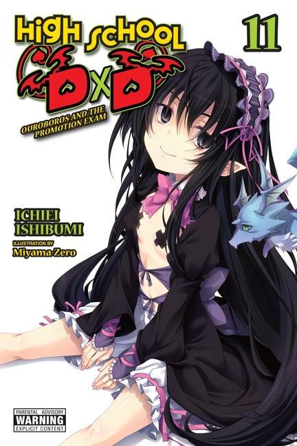 Książka High School DxD, Vol. 11 (light novel) Ichiei Ishibumi