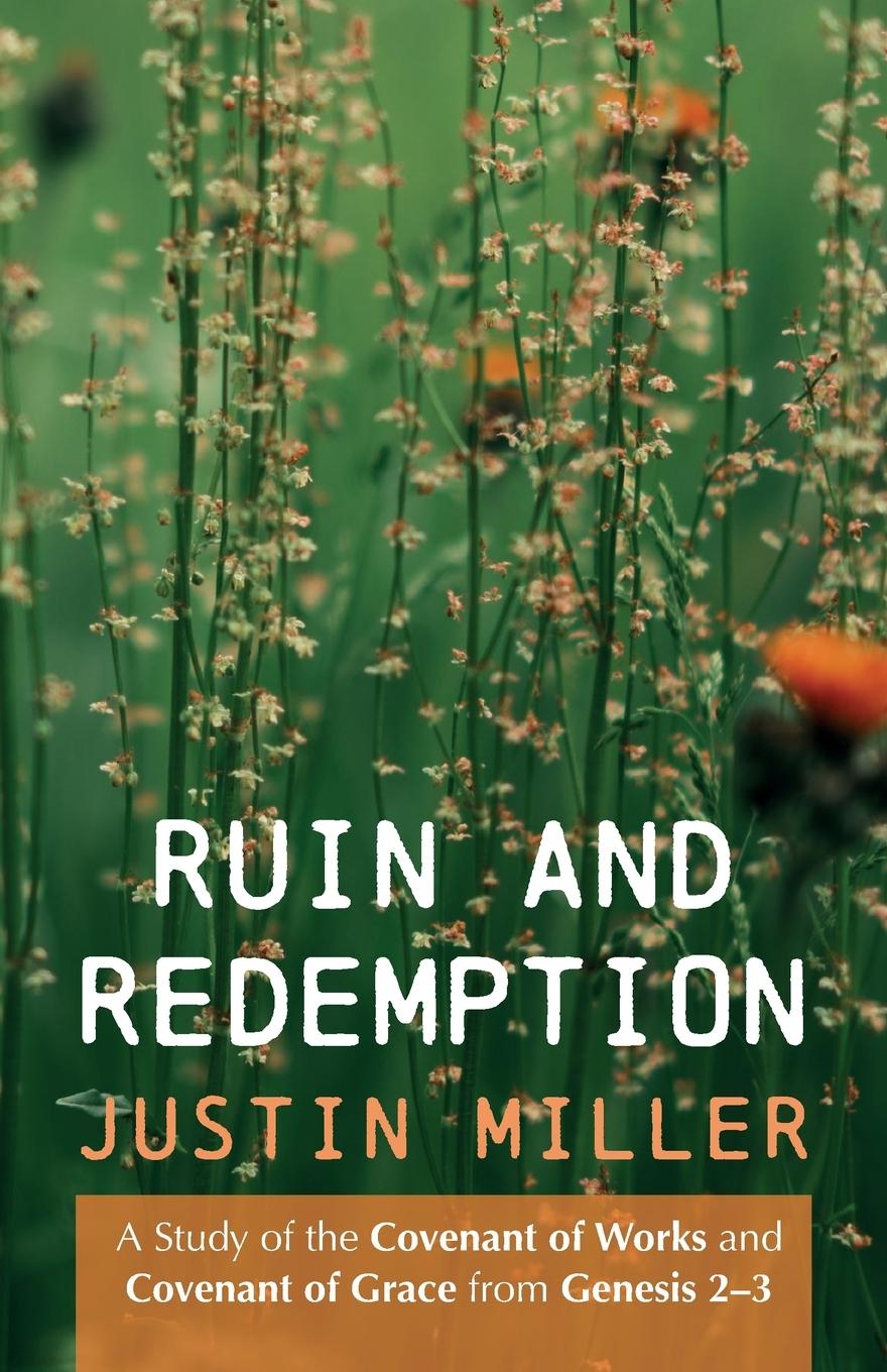 Knjiga Ruin and Redemption Justin Miller