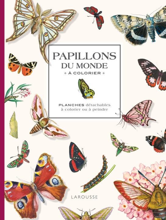 Kniha Papillons du monde à colorier 