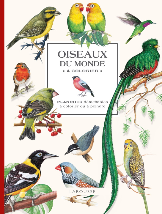 Kniha Oiseaux du monde à colorier 