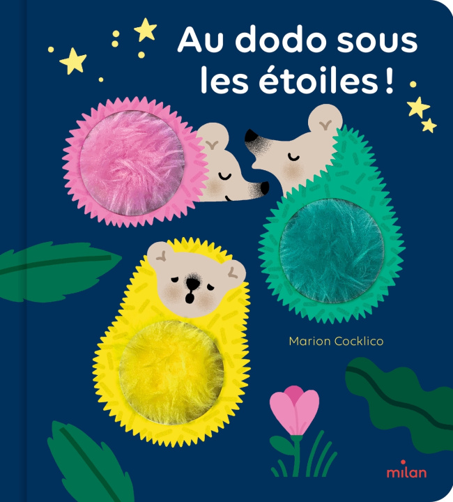 Knjiga Au dodo sous les étoiles ! 