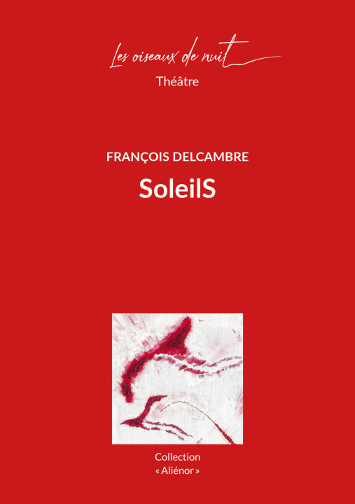Knjiga SoleilS Delcambre