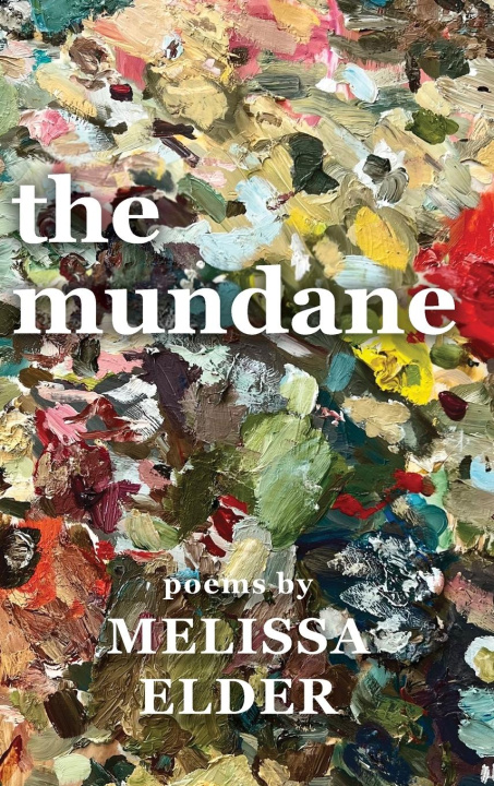 Knjiga The Mundane Melissa J Elder