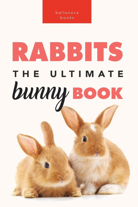 Libro Rabbits Jenny Kellett