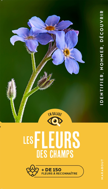 Kniha En balade - Les fleurs 