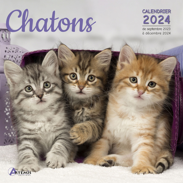 Kalendář/Diář Calendrier chatons 2024 