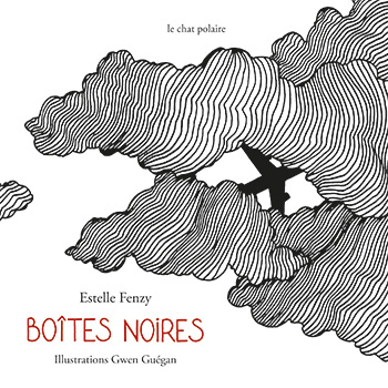 Buch Boîtes noires Fenzy