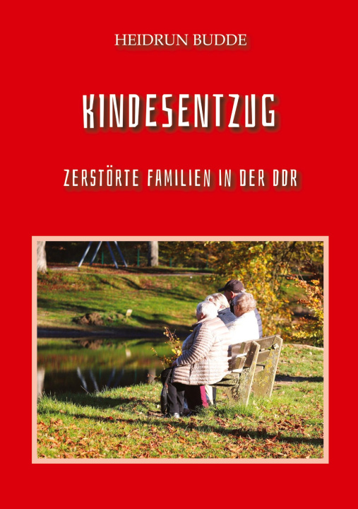 Kniha Kindesentzug Heidrun Budde