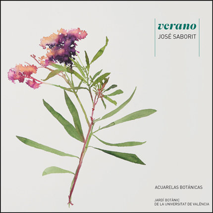 Libro VERANO SABORIT VIGUER