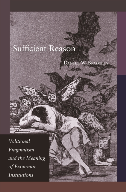 E-Book Sufficient Reason Daniel W. Bromley
