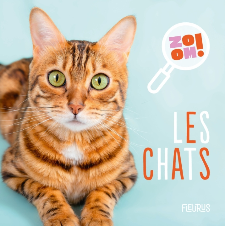Book Les chats Emmanuelle Lepetit