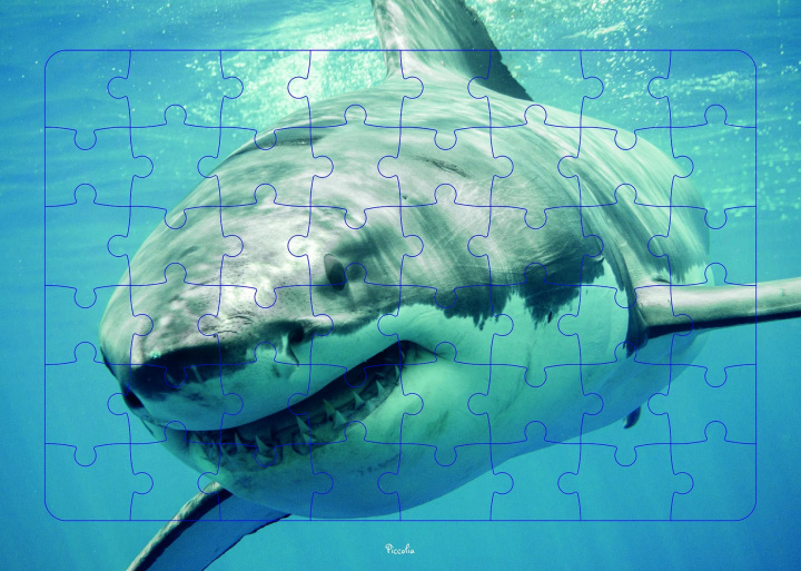 Knjiga Requin 