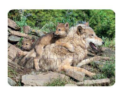 Knjiga Loup 