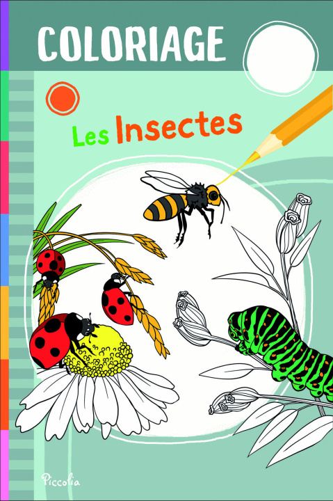 Book Les insectes Berthon
