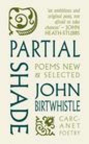 Knjiga Partial Shade John Birtwhistle