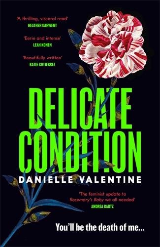 Kniha Delicate Condition Danielle Valentine