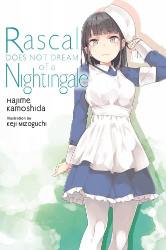 Kniha Rascal Does Not Dream, Vol. 11 (light novel) Hajime Kamoshida