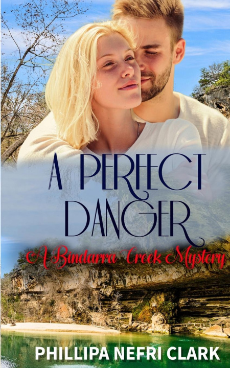 Buch A Perfect Danger Phillipa Nefri Clark