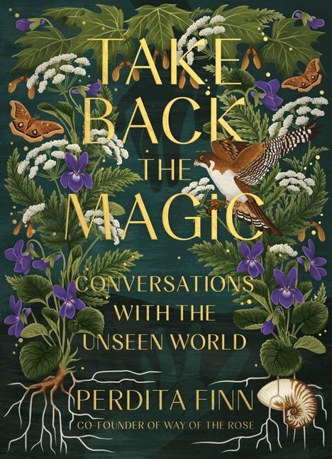 Kniha Take Back the Magic: Conversations with the Unseen World 