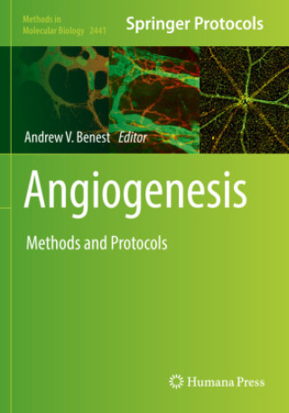 Kniha Angiogenesis Andrew V. Benest