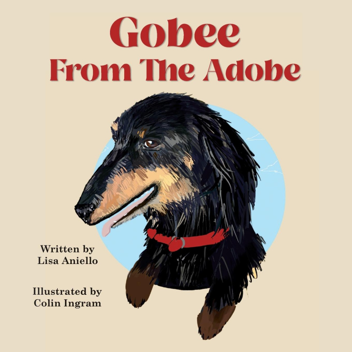 Buch Gobee From the Adobe Lisa Aniello