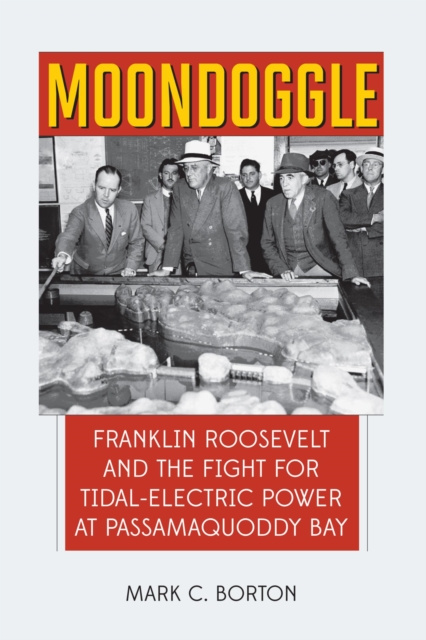 E-knjiga Moondoggle Mark C. Borton