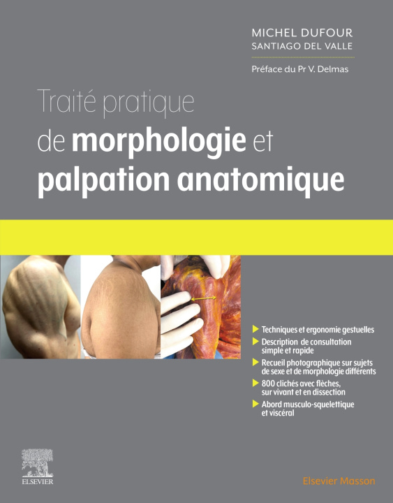 Kniha Traité pratique de Morphologie et palpation anatomique Michel Dufour