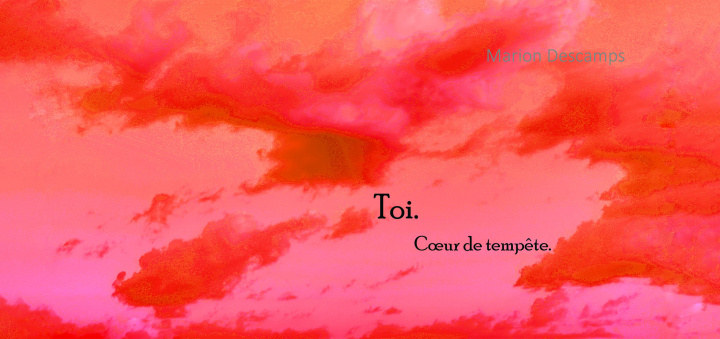 Drucksachen Toi. Cœur de tempête. Descamps