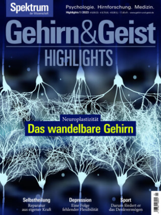 Kniha Gehirn&Geist Highlights - Das wandelbare Gehirn Spektrum der Wissenschaft Verlagsgesellschaft
