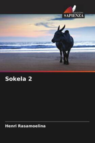 Knjiga Sokela 2 Henri Rasamoelina