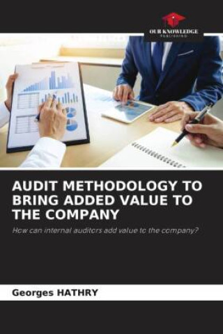 Könyv AUDIT METHODOLOGY TO BRING ADDED VALUE TO THE COMPANY 