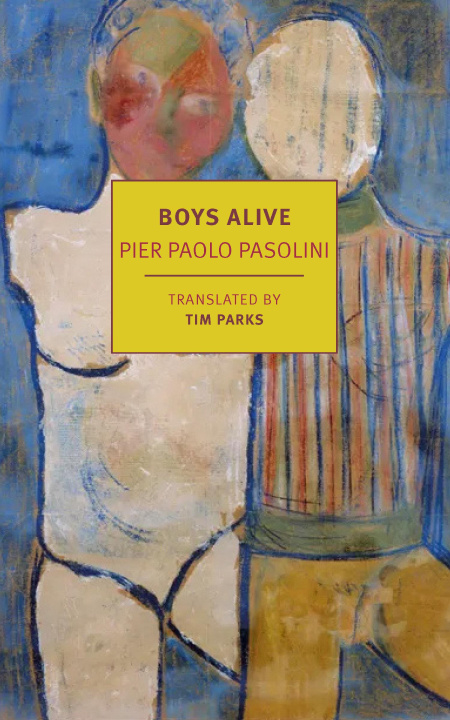 Kniha Boys Alive Tim Parks